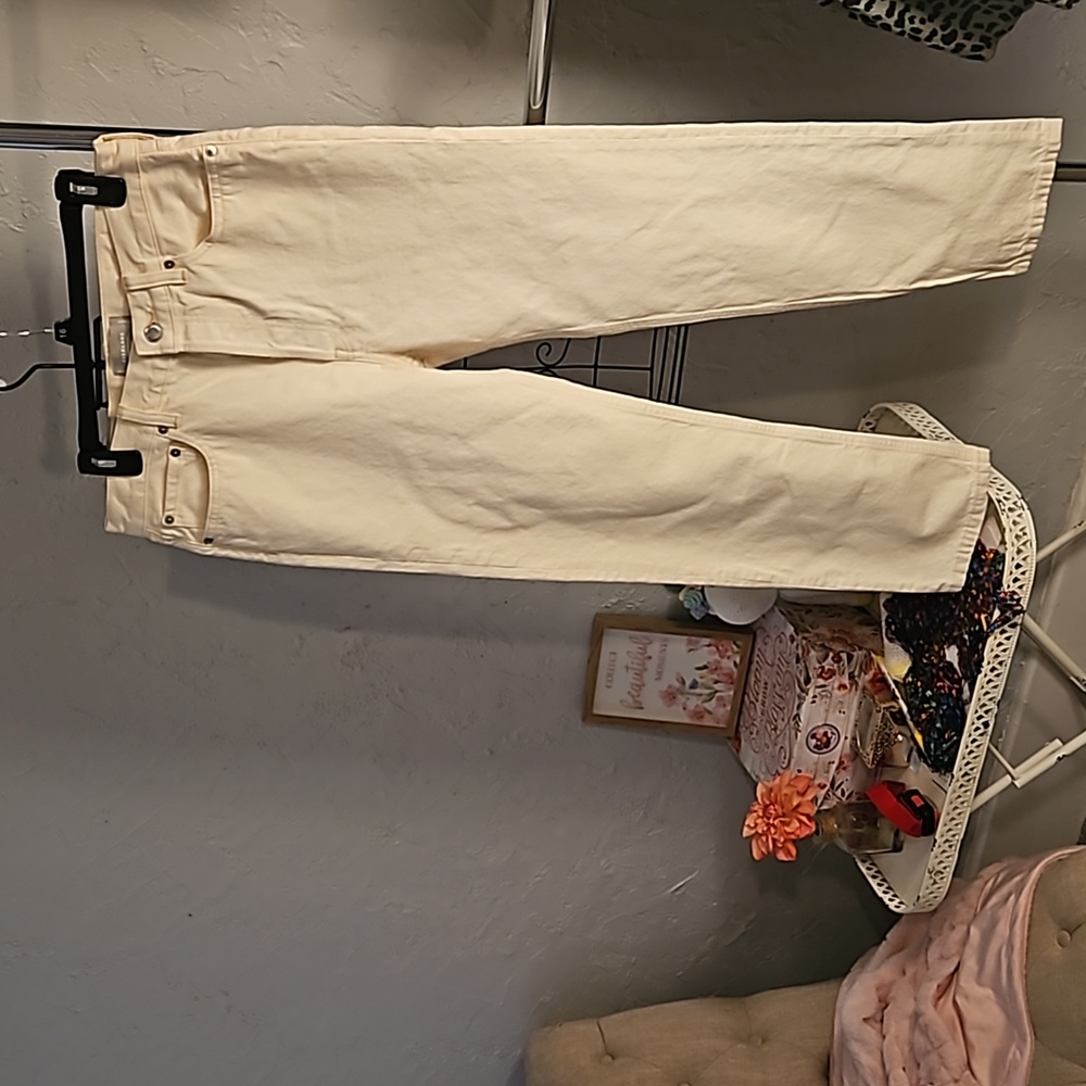 NWT Everlane Rigid Slouch Jeans in Ecru. Size 27R.